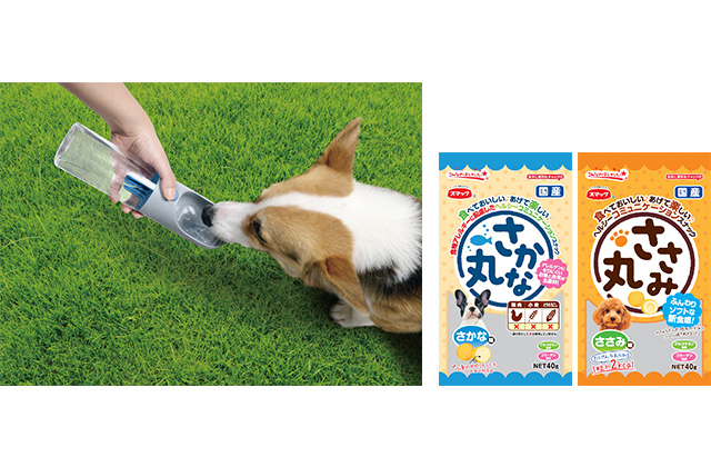 今月のプレゼントキャンペーン