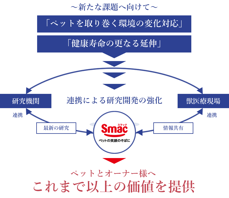 新たな課題に対する取り組み