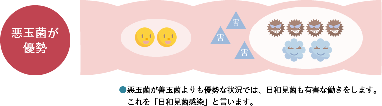 腸内の様子