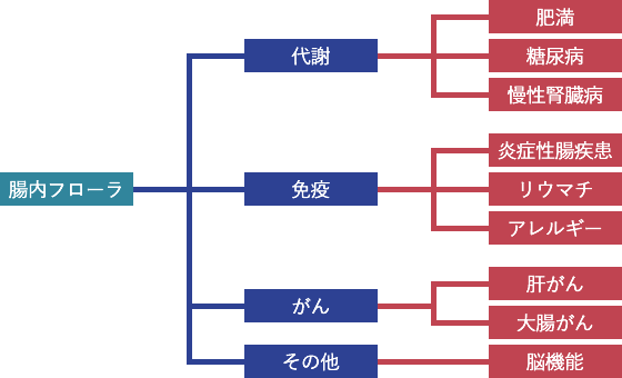 腸内フローラと疾病の関係
