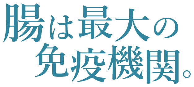 腸は最大の免疫機関。