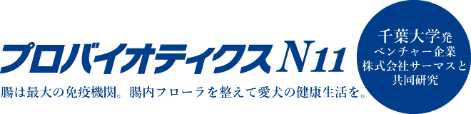 プロバイオティクスN11