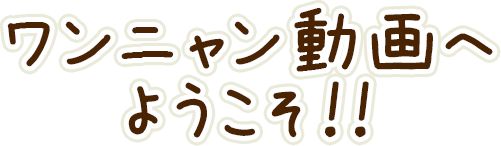 ワンニャン動画へようこそ！！